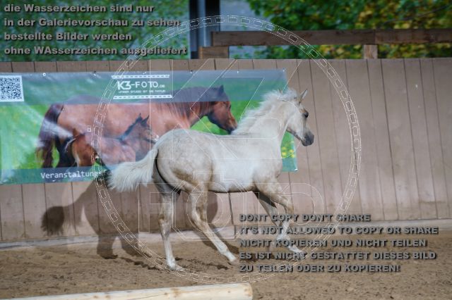 s_K3F04870.JPG